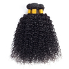 Kinky Curly 3 Bundles 10A Unprocessed Brazilian Virgin Hair